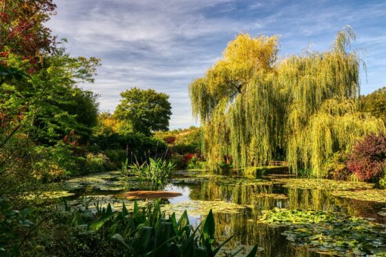 Parigi…sulle tracce di Monet